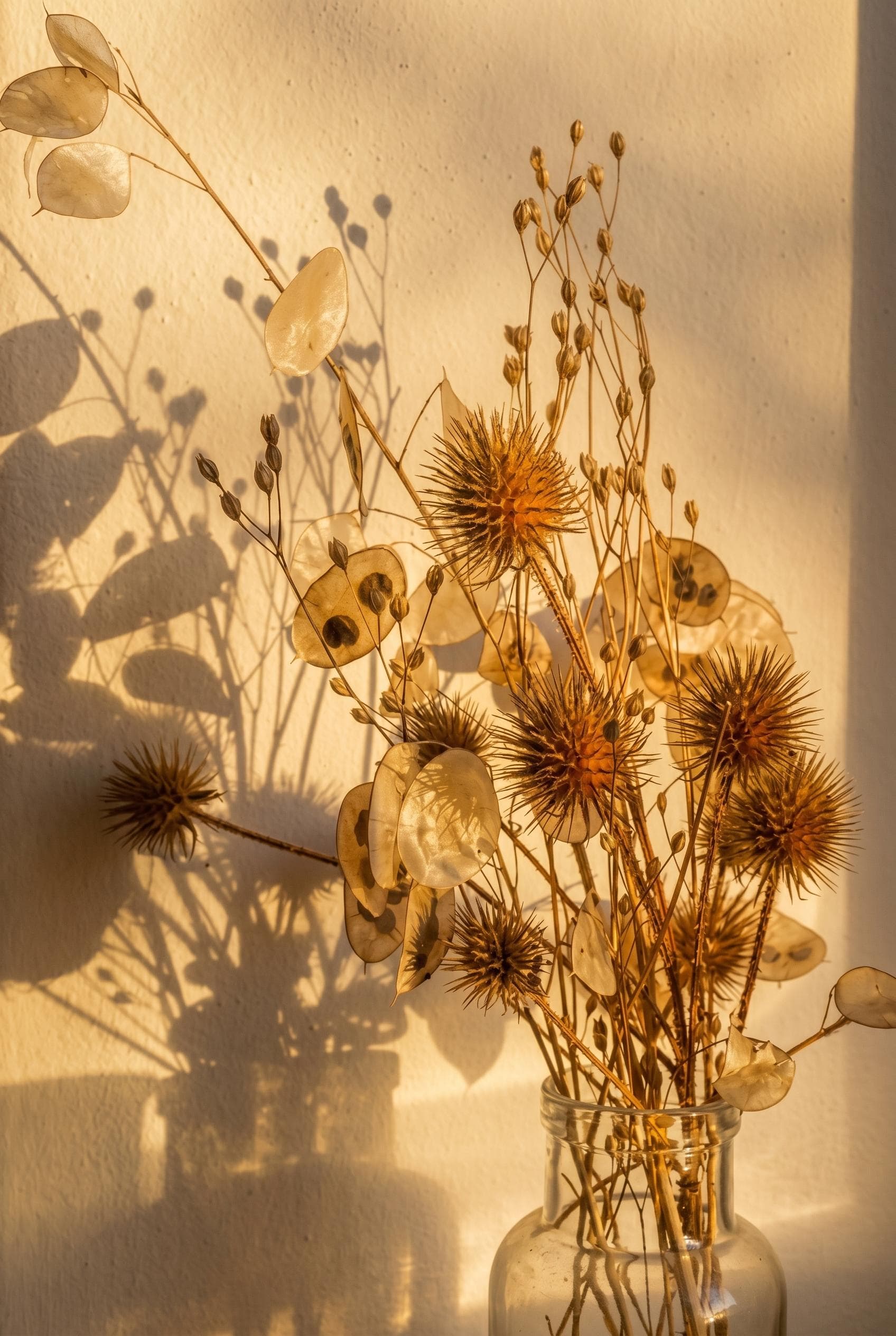 Plants