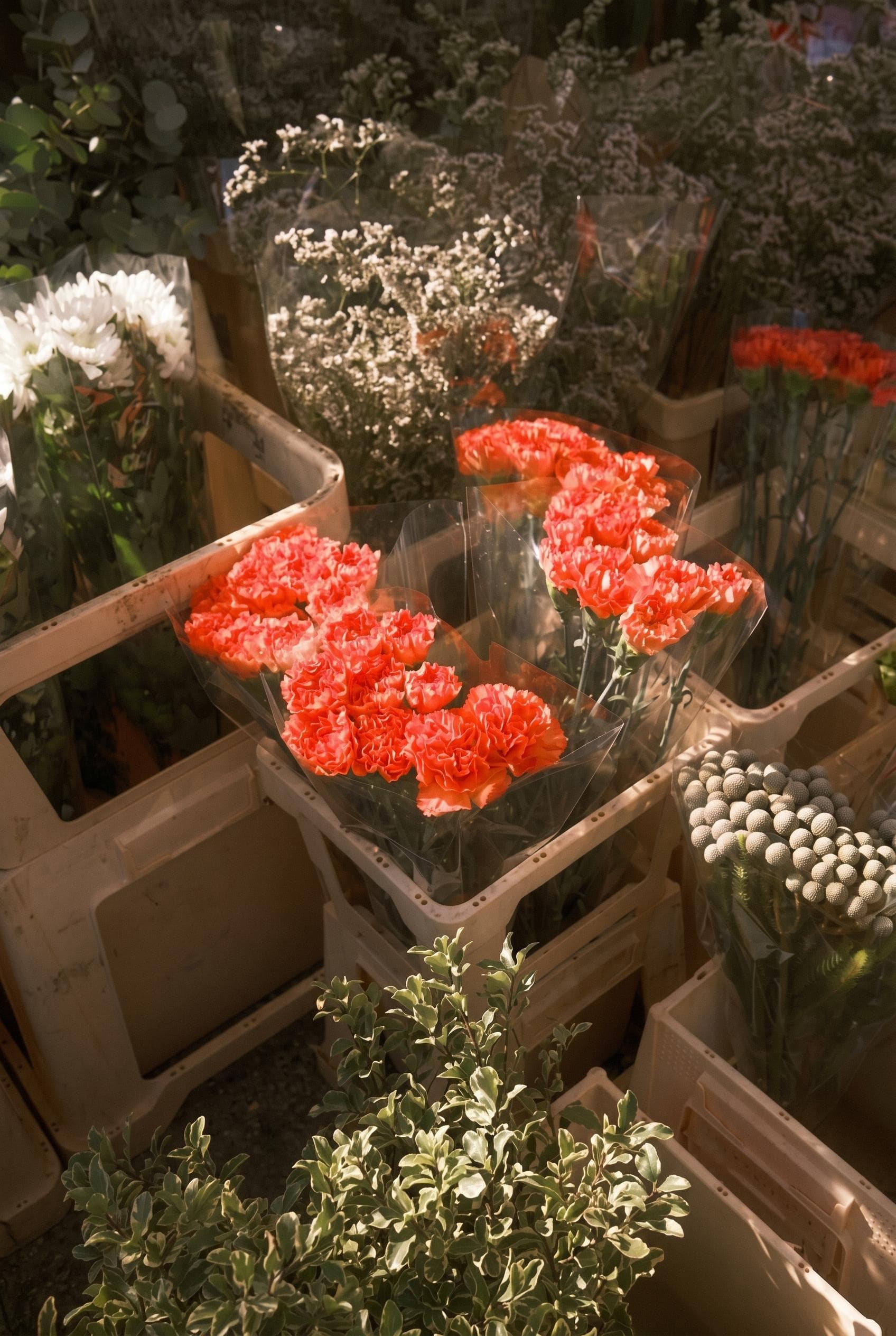 Market Specials