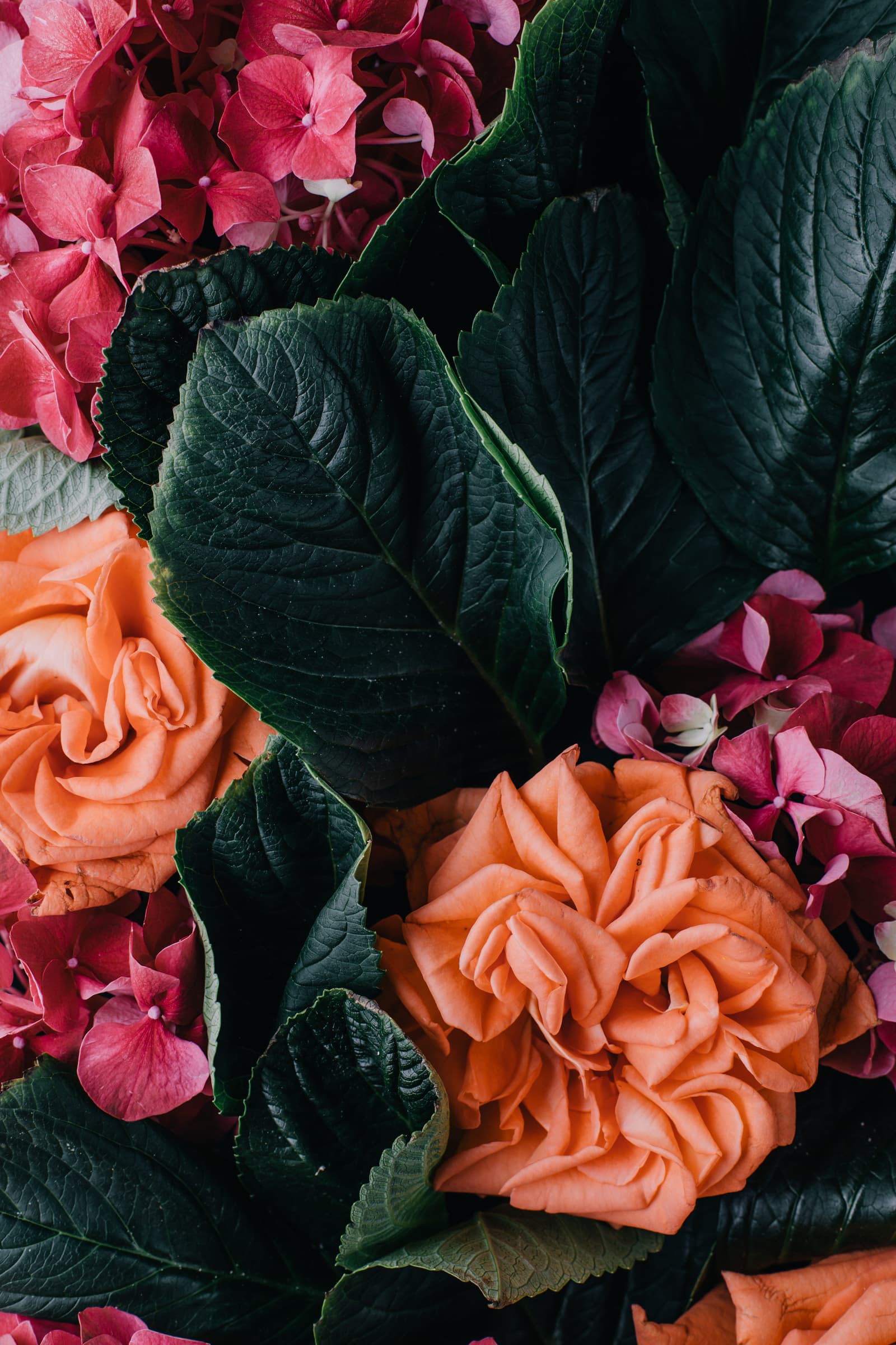 Flower Club